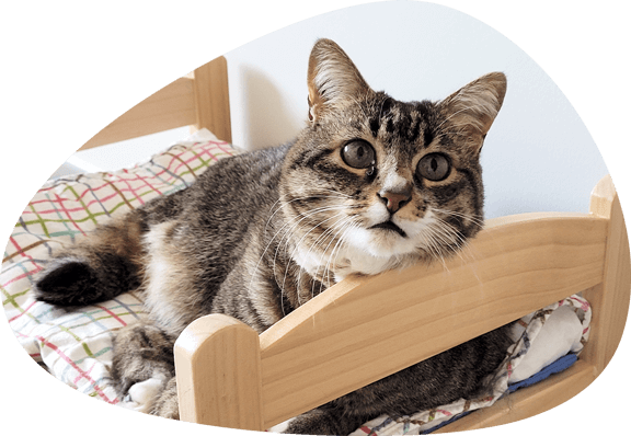 Image consultation bien-être