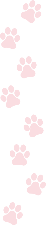 Fond bilan comportemental